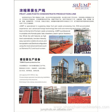 Small AutomaticTomato Paste Production Line